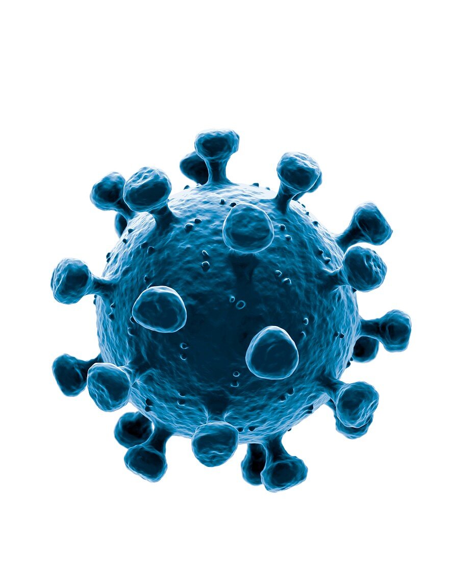 Covid 19 coronavirus illustration.