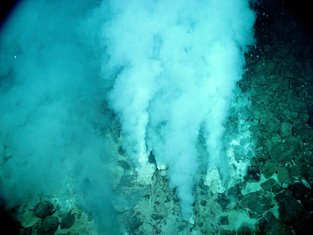 White smoker hydrothermal vents