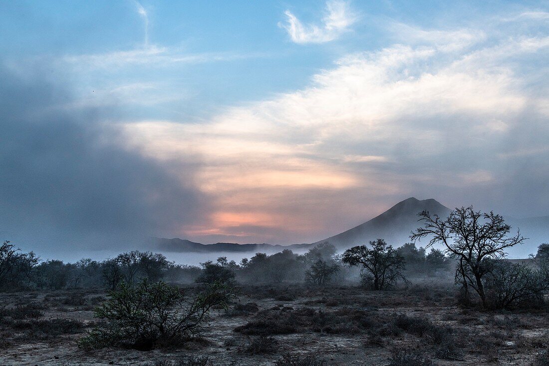 Mist rising over the arid Great Karoo