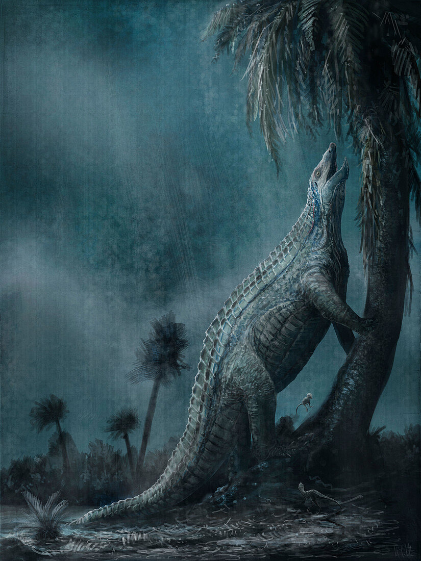 Stagonolepis archosaur, illustration