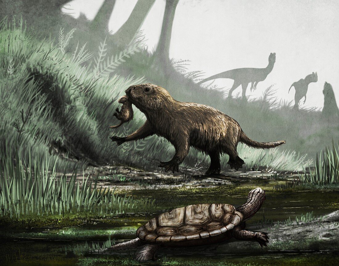 Kayenta formation fauna, illustration