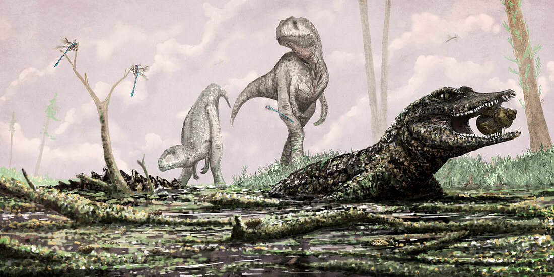 Koumpiodontosuchus prehistoric crocodyliform, illustration