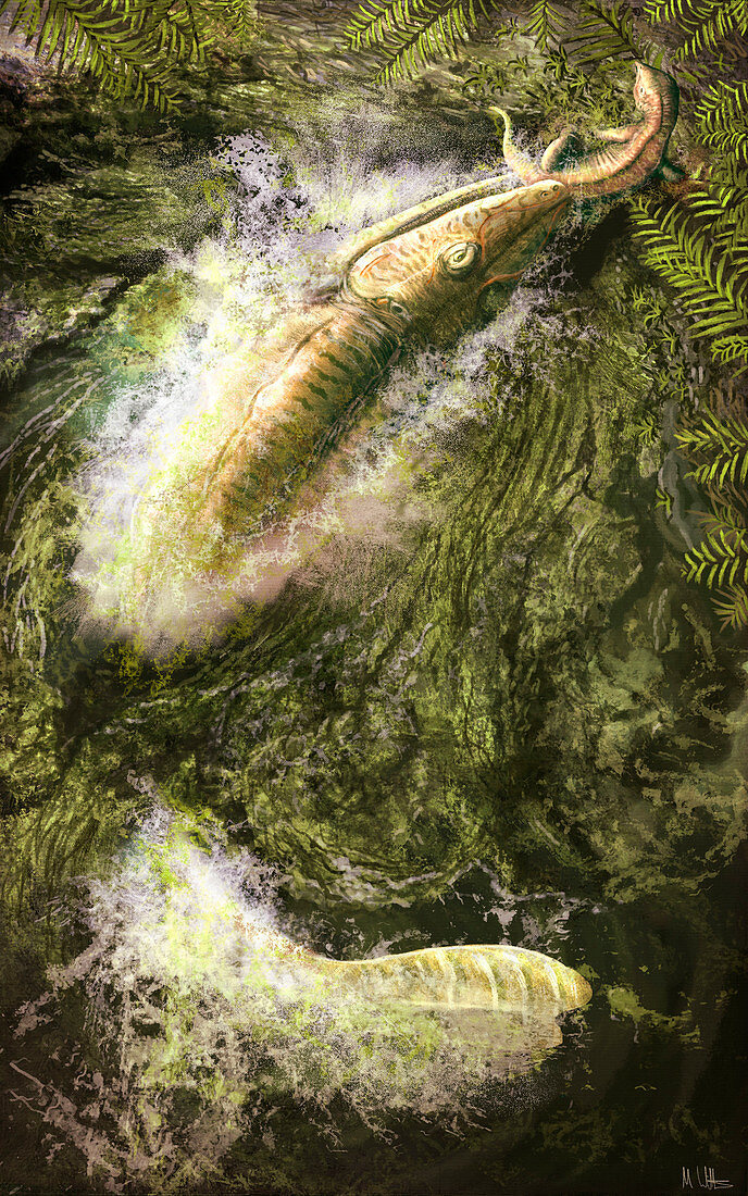 Mastodonsaurus prehistoric amphibian, illustration