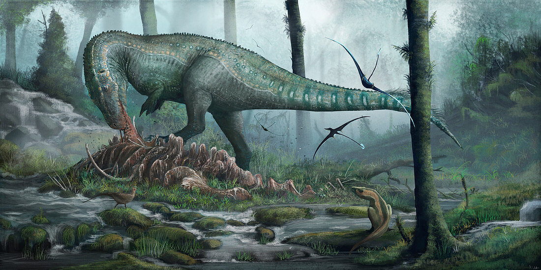 Megalosaurus dinosaur feeding, illustration