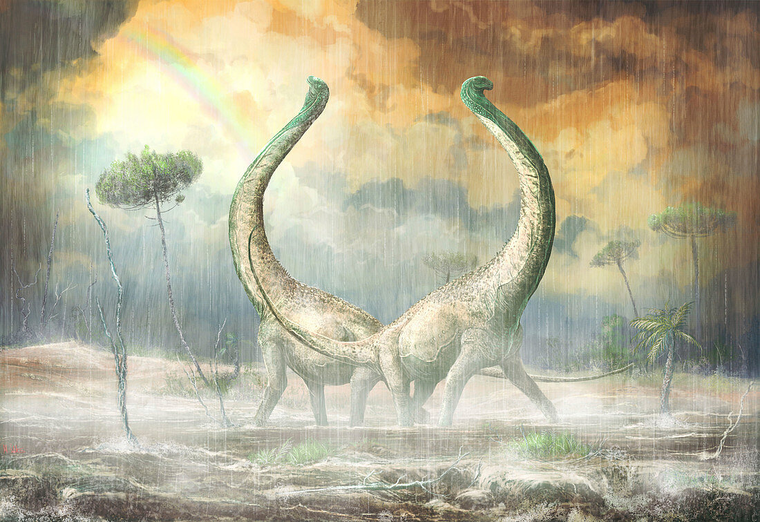 Mnyamawamtuka dinosaurs, illustration