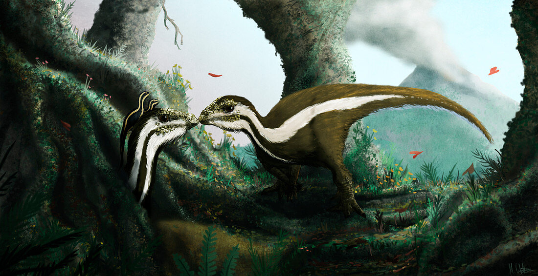 Oryctodromeus dinosaur family, illustration