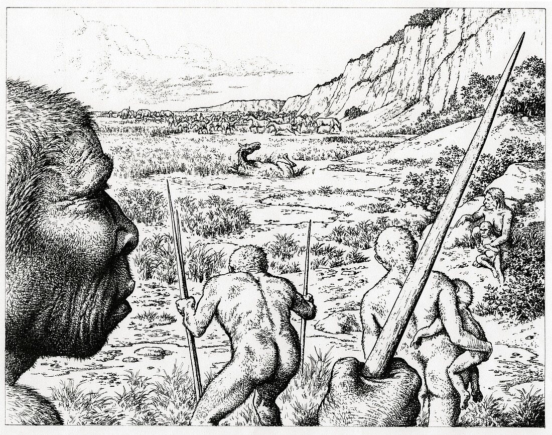 Homo heidelbergensis hunting, illustration