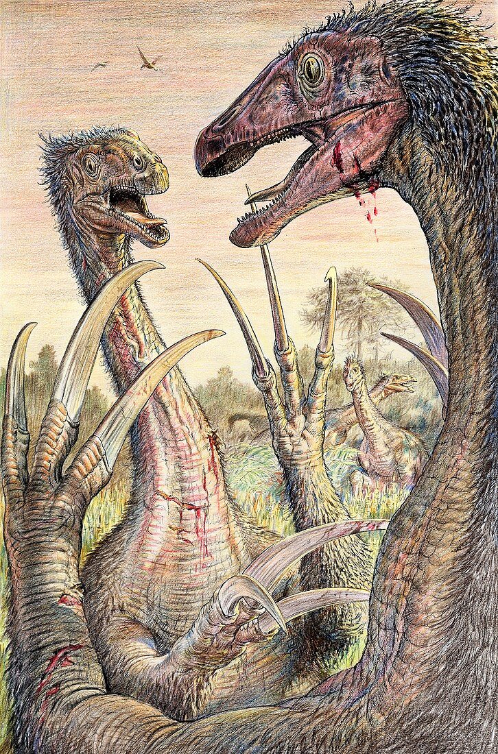 Therizinosaurus dinosaurs, illustration