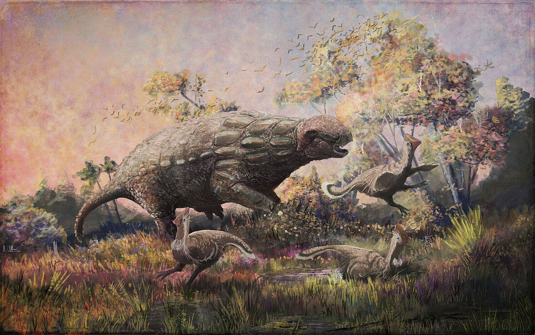 Panoplosaurus dinosaur hunting, illustration