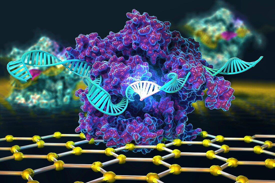 CRISPRâ€“Chip biosensor, illustration