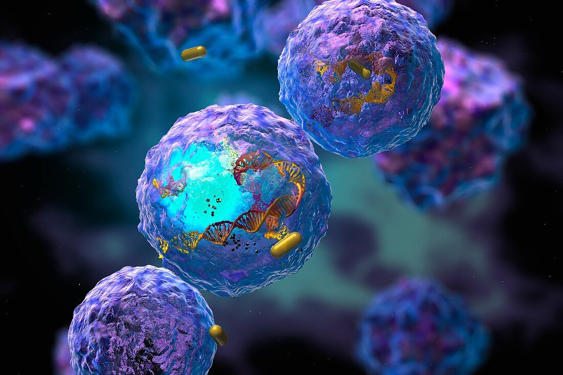 Gold nanoparticles and cells, illustration