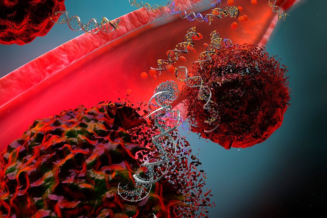Circulating tumor DNA, illustration
