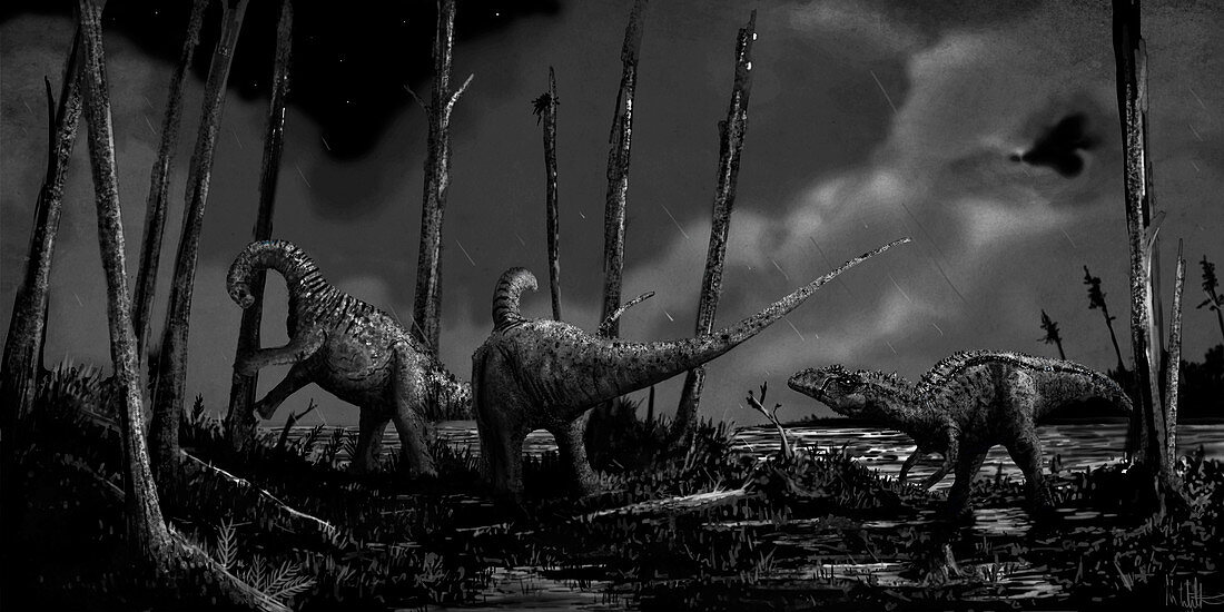 Neovenator dinosaur hunting at night, illustration