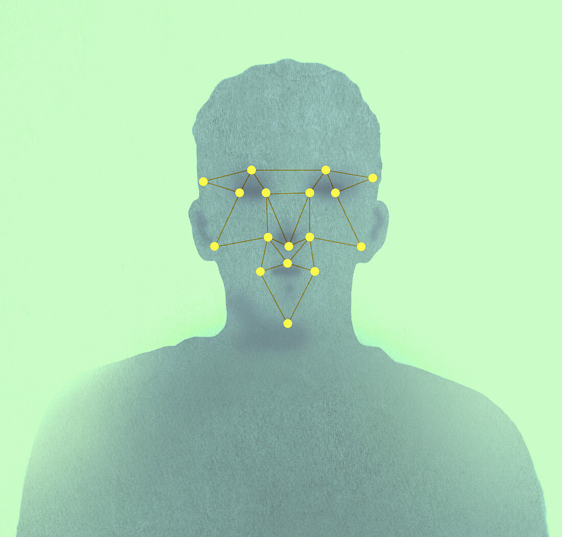 Network grid over human face, illustration