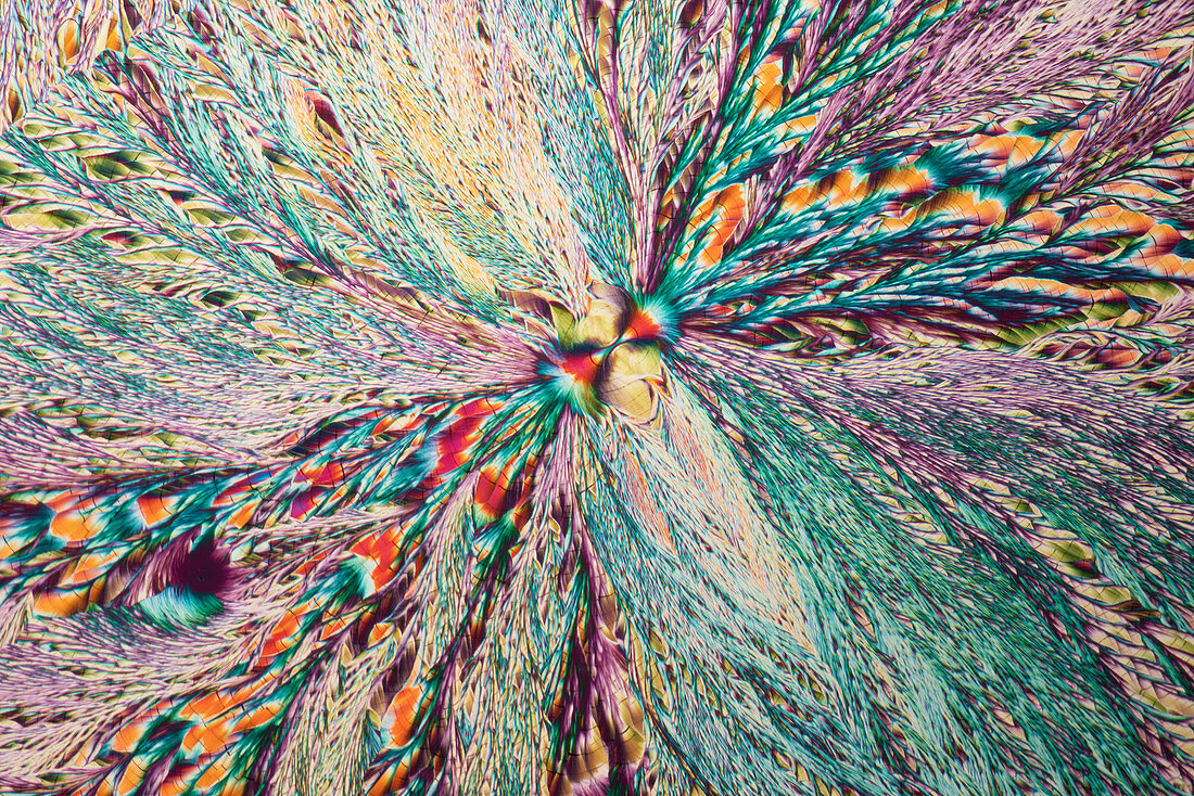 Metal sulphates, polarised light micrograph