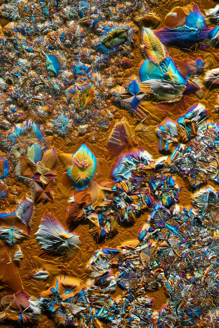 Mixture of crystals, polarised light micrograph
