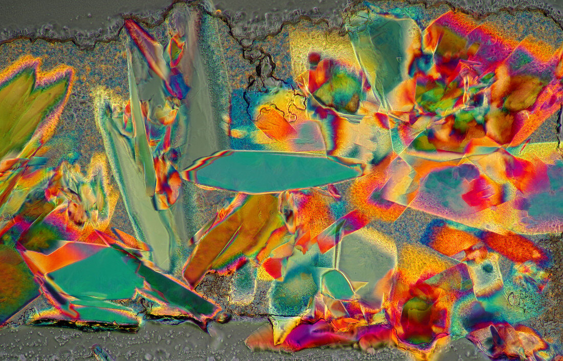 Lactose crystals, polarised light micrograph
