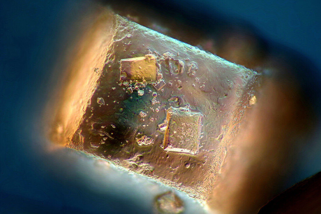 Sugar crystals, polarised light micrograph