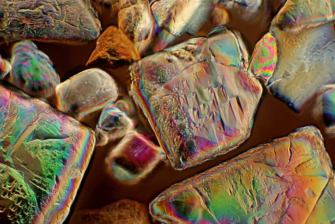 Sugar crystals, polarised light micrograph