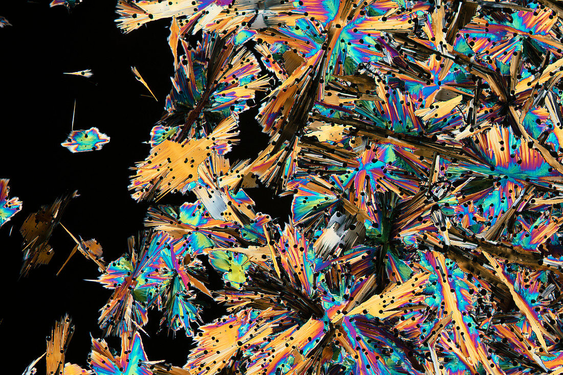 Mixture of crystals, polarised light micrograph