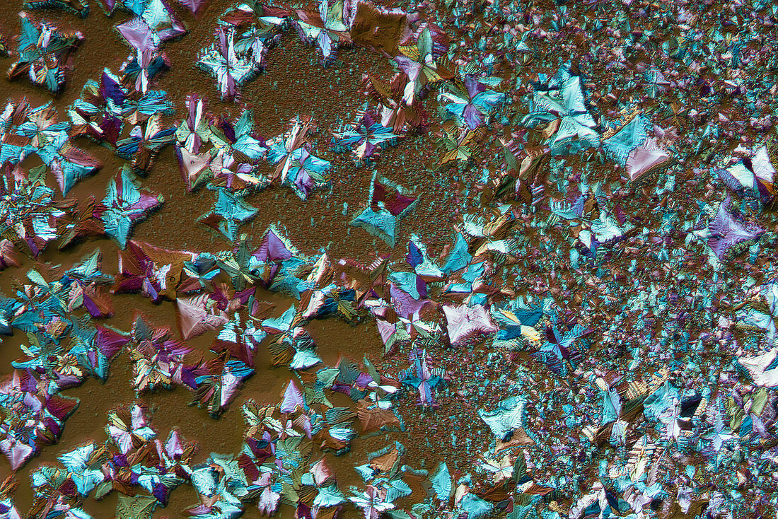 Crystals of a mixture of salts, polarised light micrograph