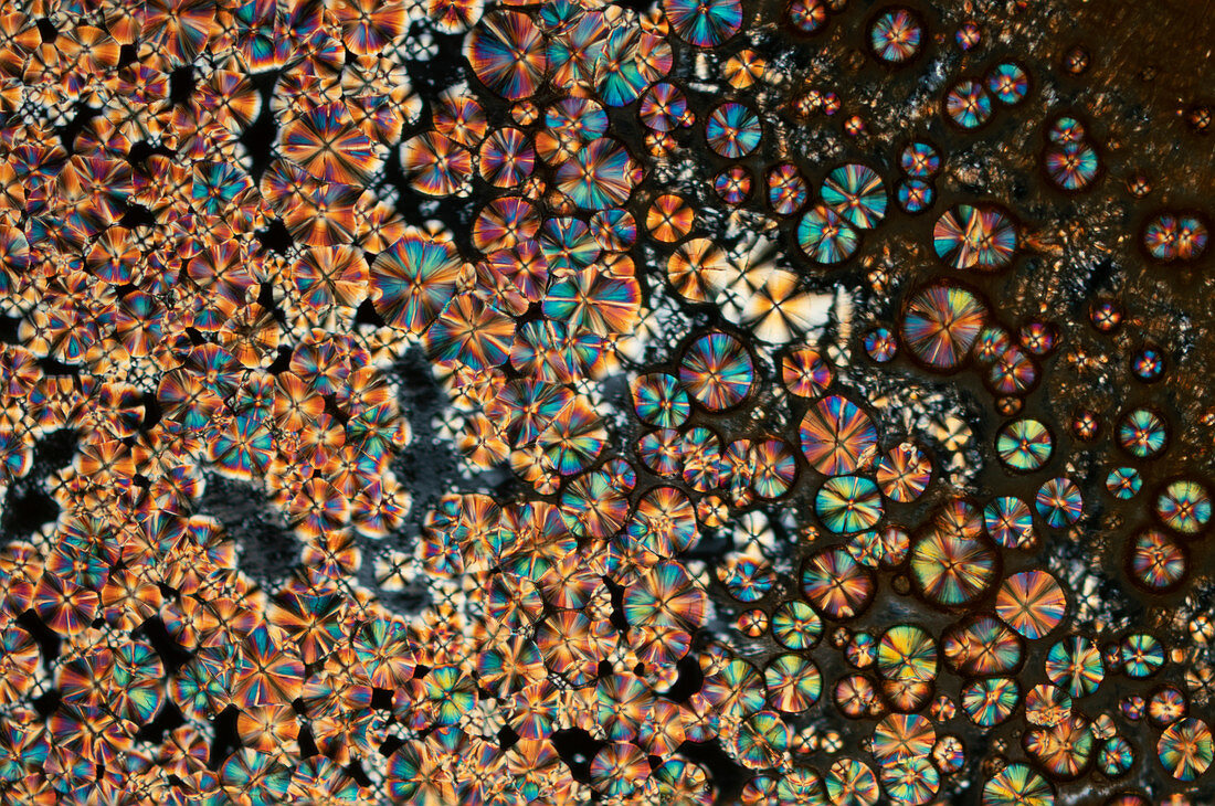 Copper salts and glucose, polarised light micrograph