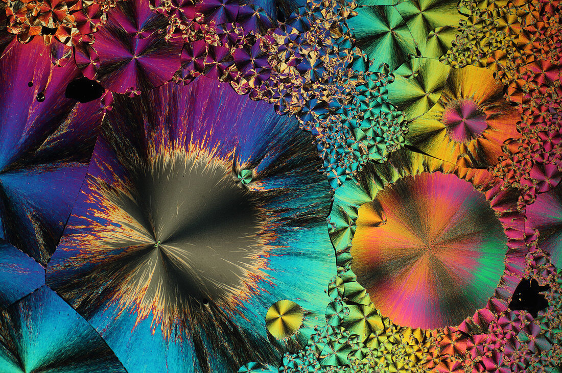 Niacinamide, polarised light micrograph