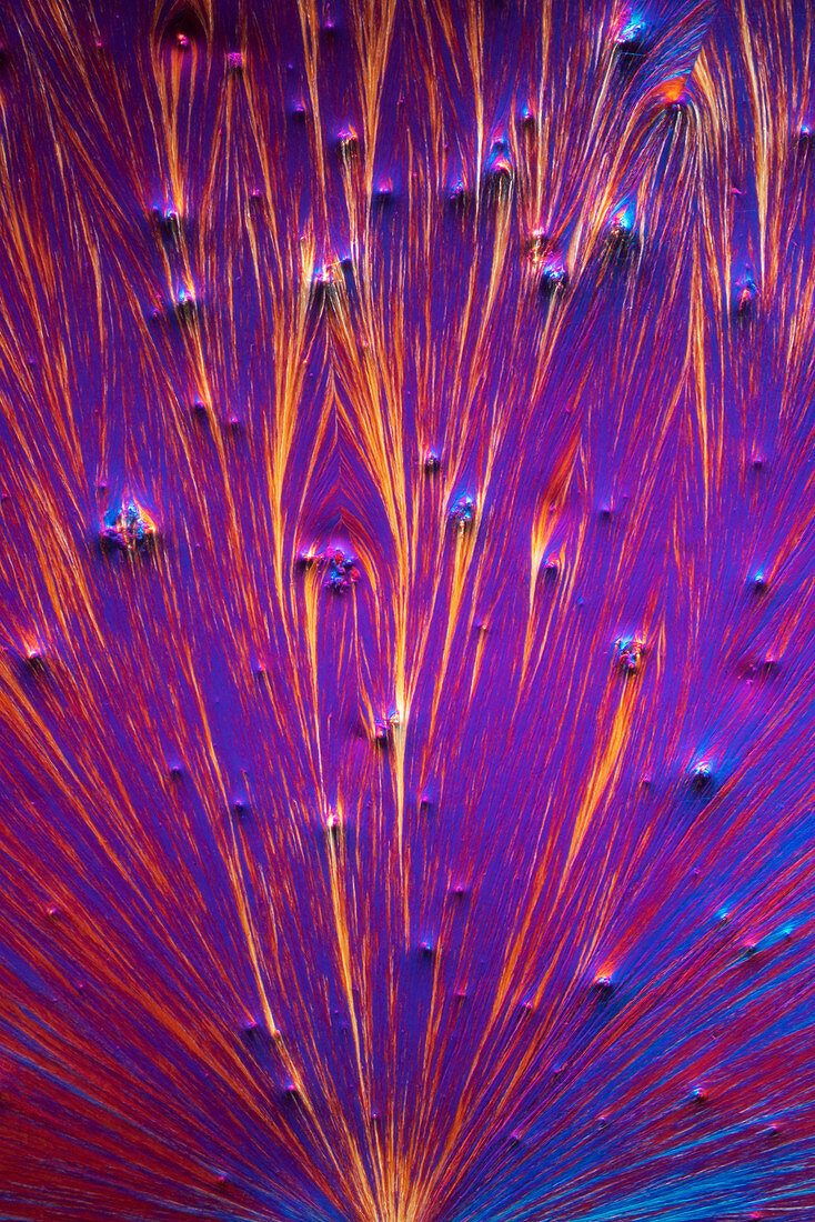 Tryptophan, polarised light micrograph