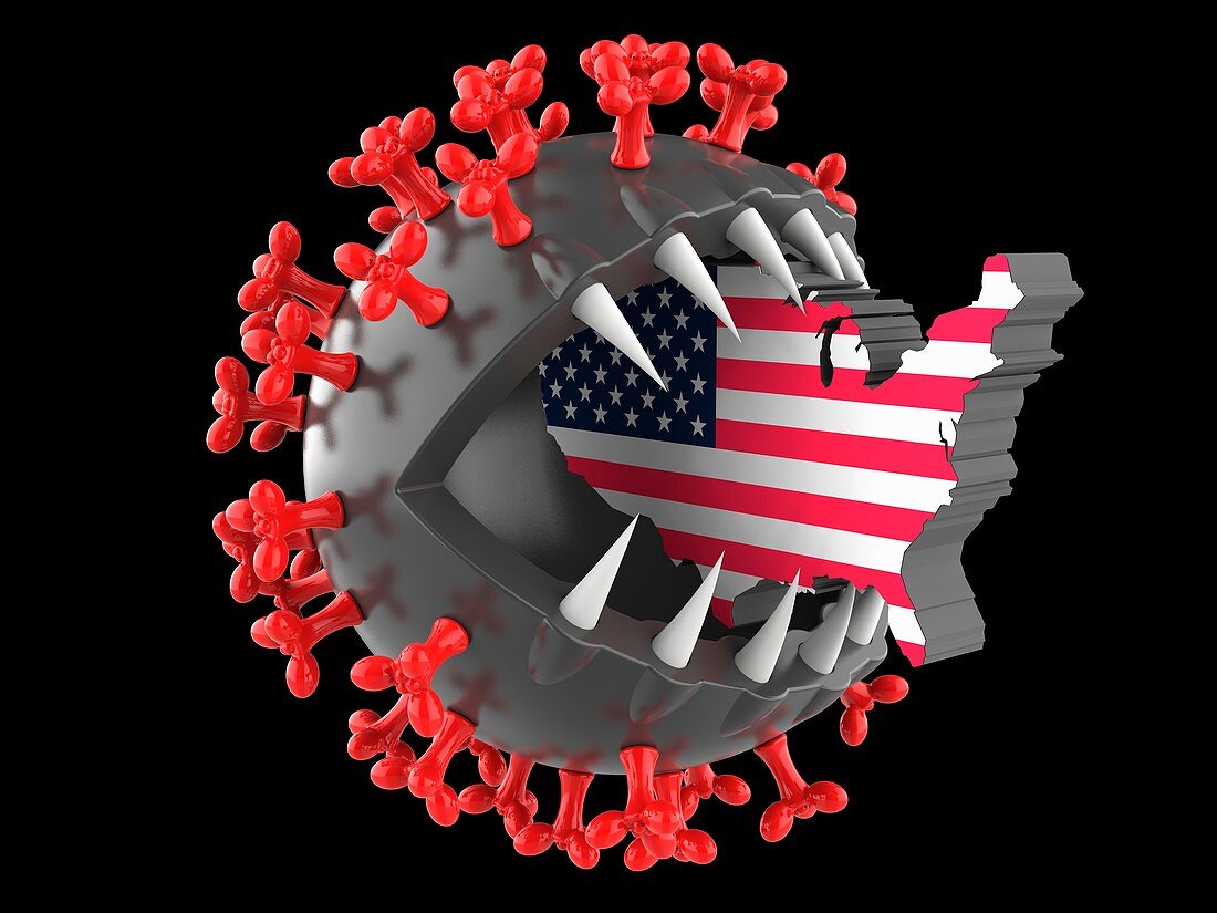 Coronavirus capsid, conceptual illustration