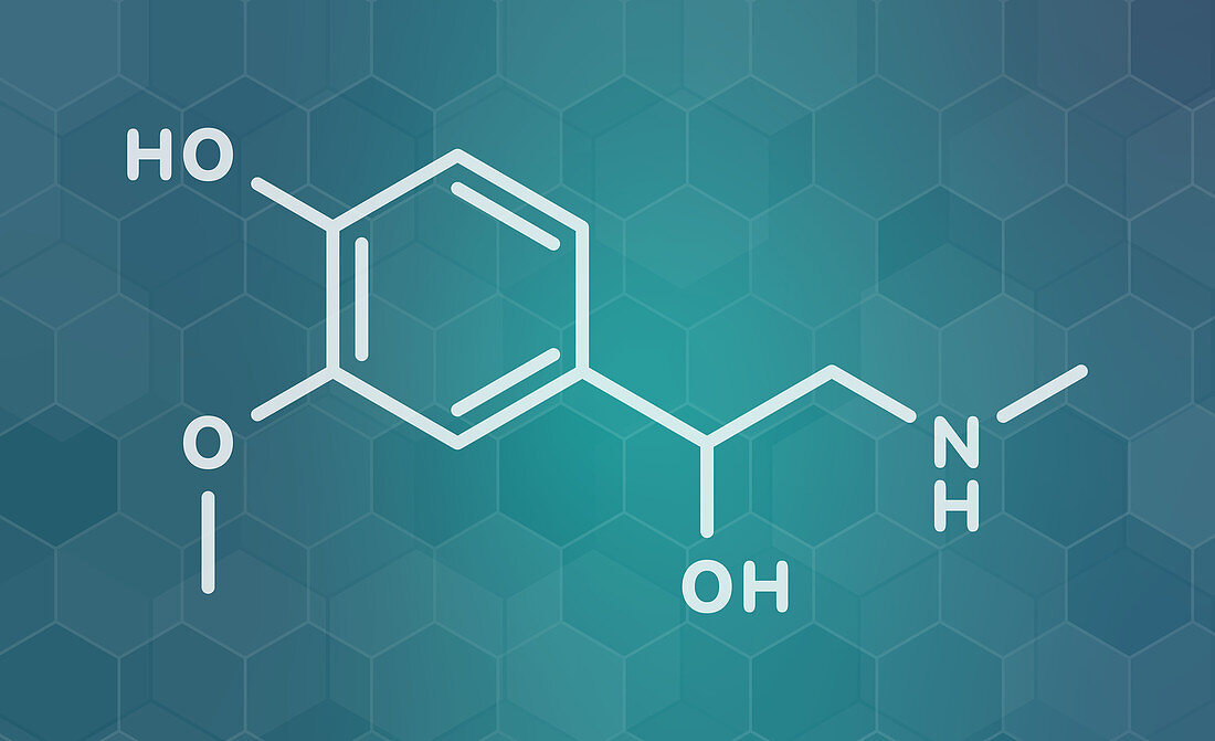 Metanephrine molecule, illustration