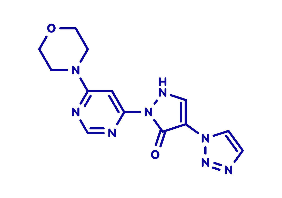 Molidustat investigational anaemia drug molecule
