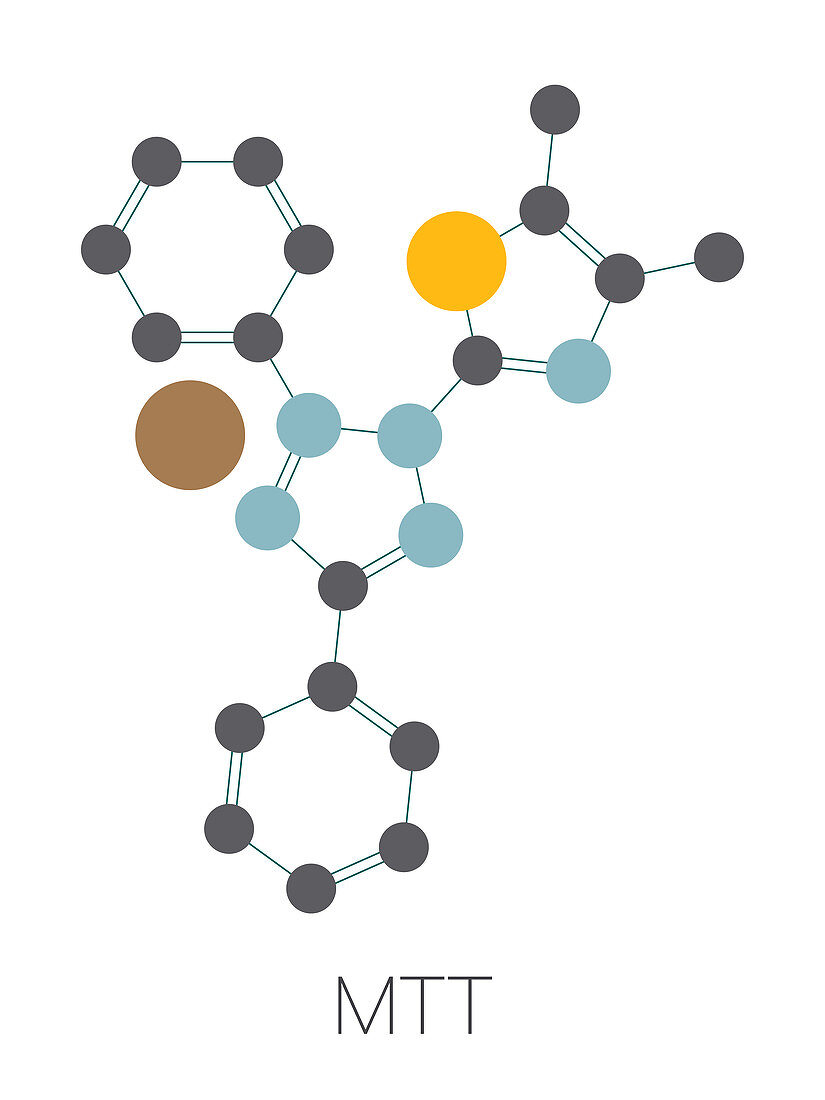 MTT yellow tetrazole dye molecule, illustration
