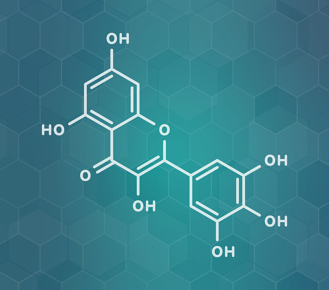 Myricetin flavonoid molecule, illustration