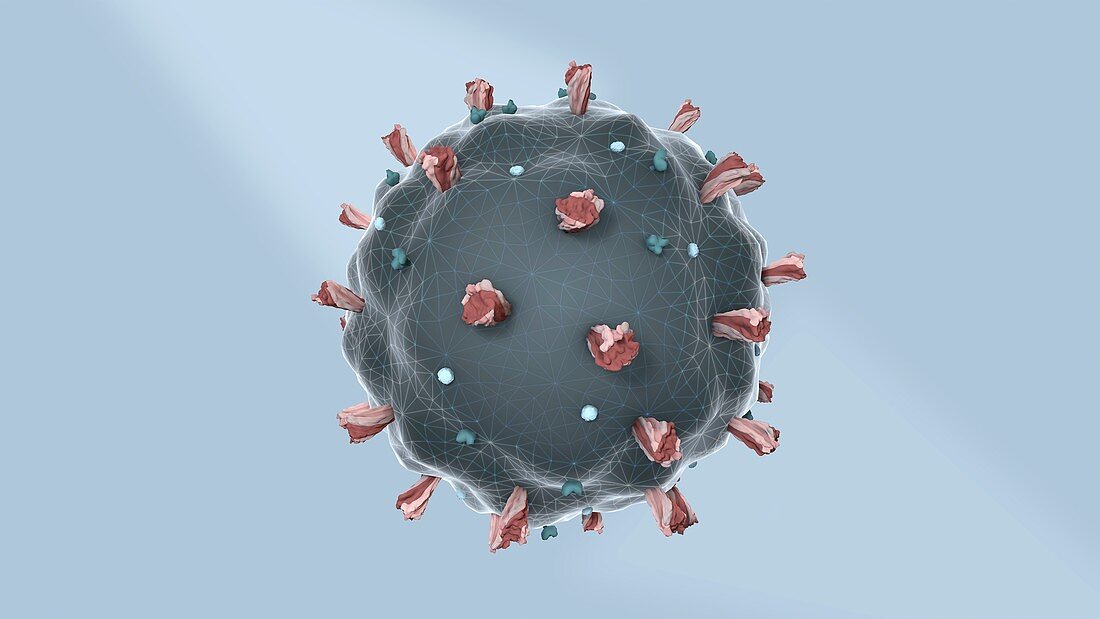 Coronavirus, 3D illustration