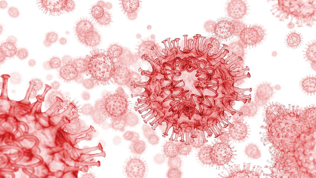 Coronavirus particles, 3D illustration