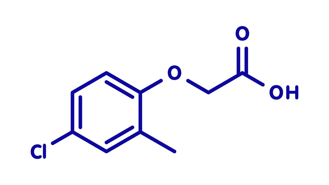 MCPA herbicide molecule, illustration