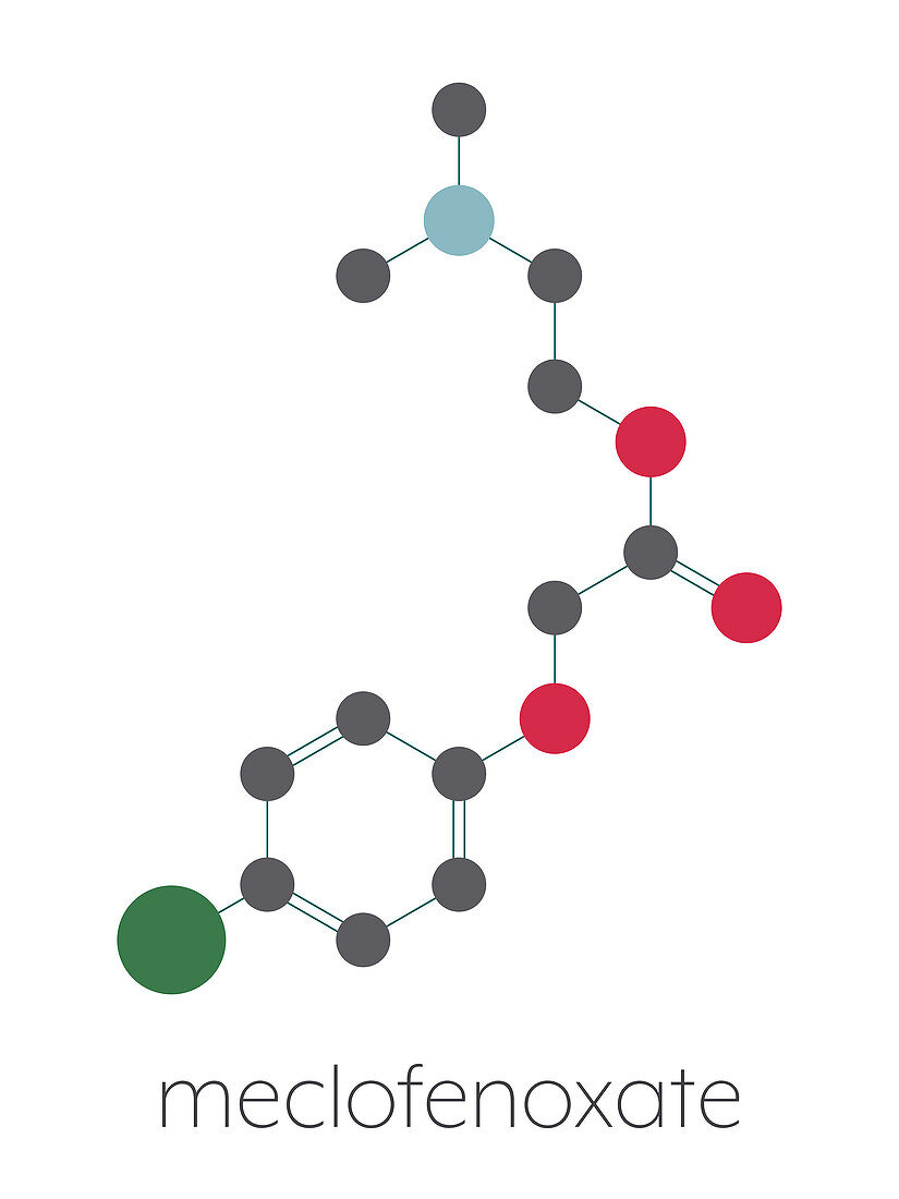 Meclofenoxate nootropic molecule, illustration
