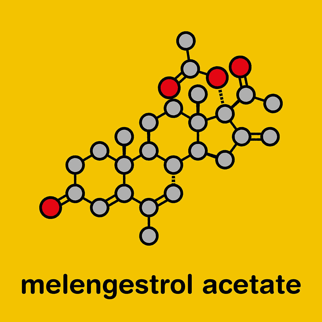 Melengestrol acetate cattle growth promoter, illustration