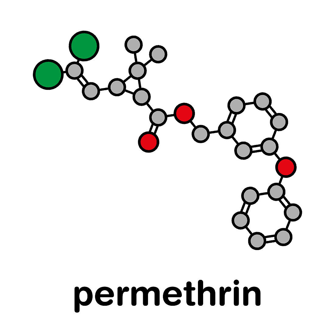 Permethrin pyrethroid insecticide, illustration