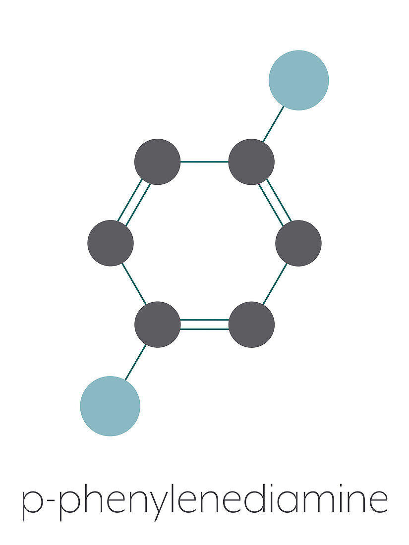 p-Phenylenediamine hair dye molecule, illustration