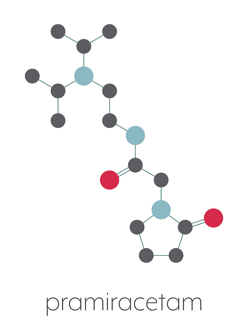 Pramiracetam drug molecule, illustration