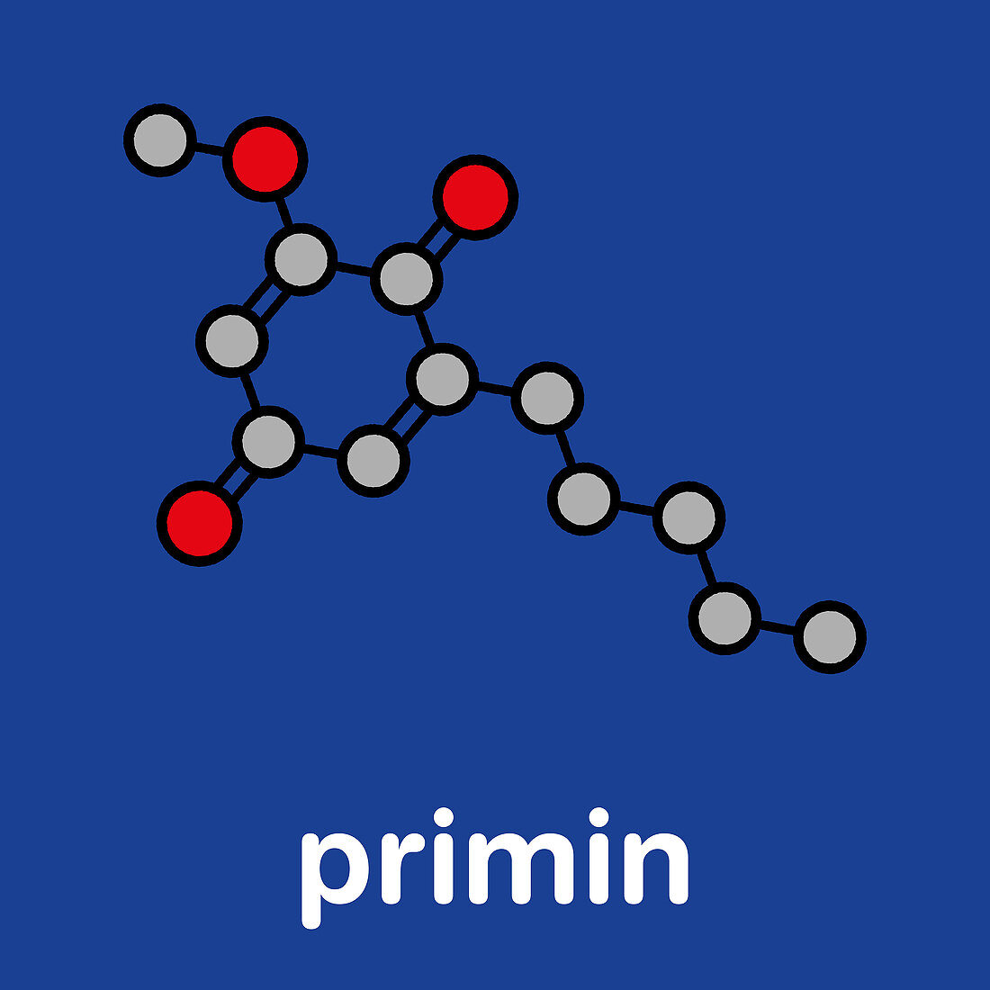 Primin primrose plant allergen molecule, illustration