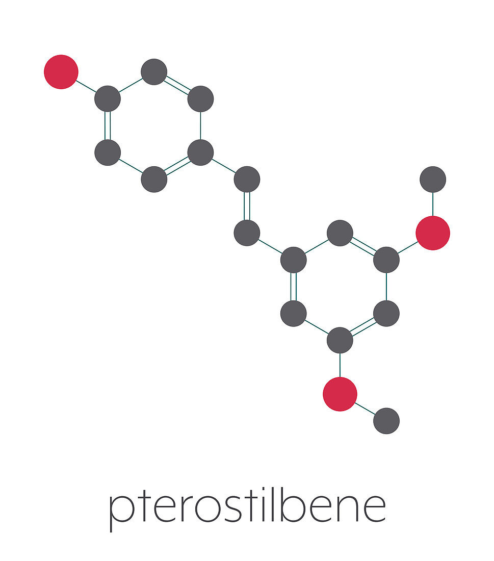 Pterostilbene molecule, illustration