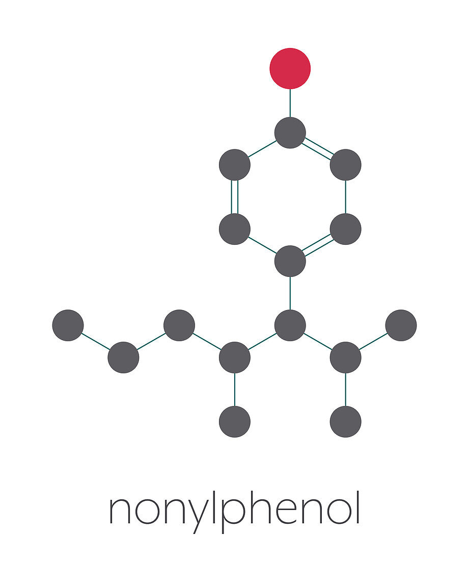 Nonylphenol endocrine disruptor molecule, illustration