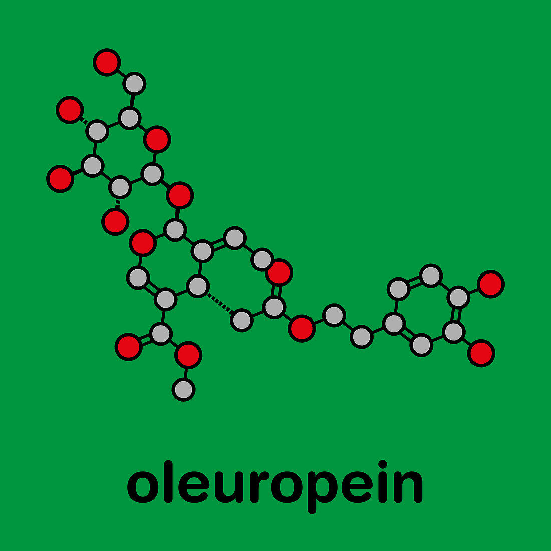 Oleuropein olive component molecule, illustration