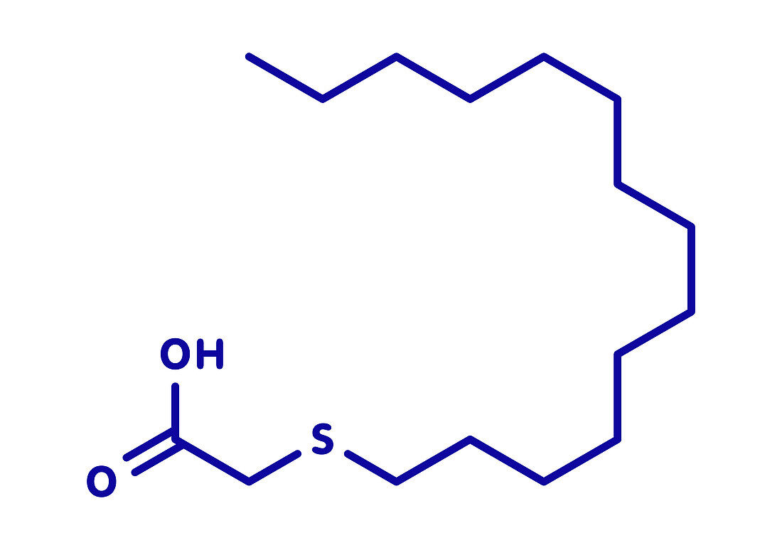 Tetradecylthioacetic acid synthetic fatty acid molecule