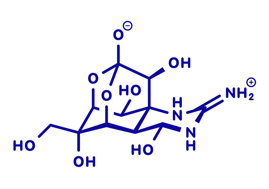 Tetrodotoxin pufferfish neurotoxin molecule, illustration