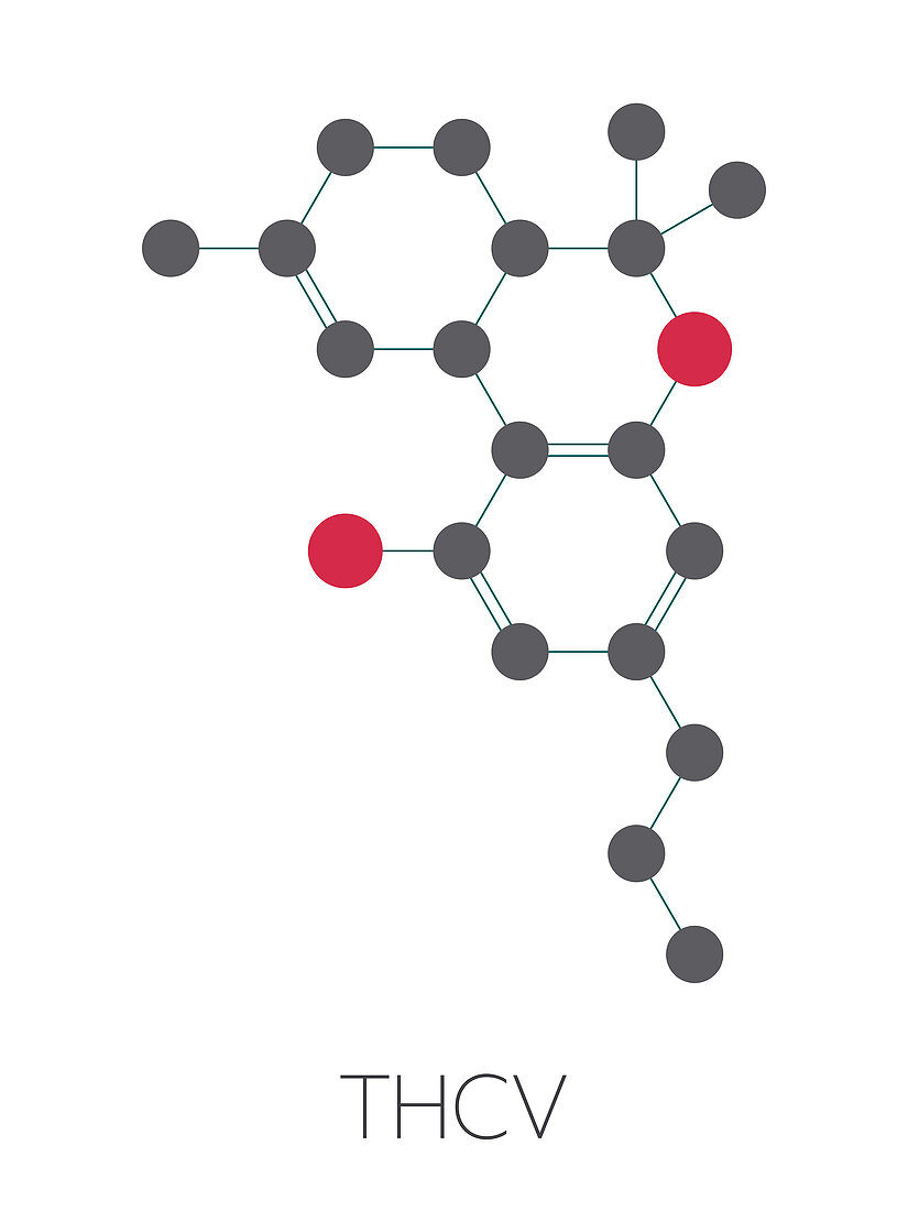 Tetrahydrocannabivarin cannabinoid molecule, illustration