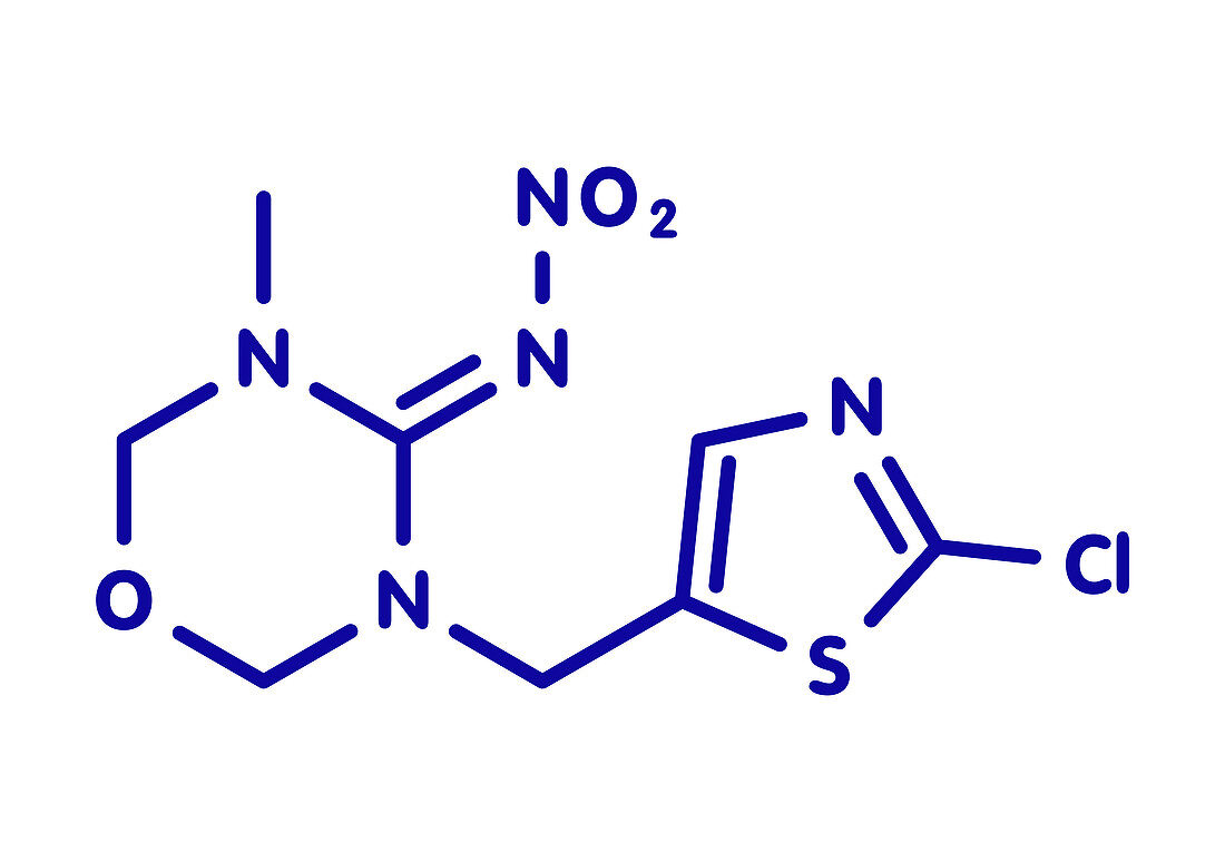 Thiamethoxam insecticide molecule, illustration