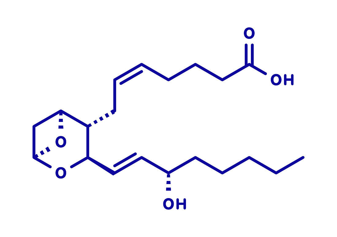 Thromboxane A2 molecule, illustration